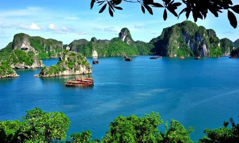 Liên minh Hạ Long - Cát Bà vì một thiên nhiên xanh