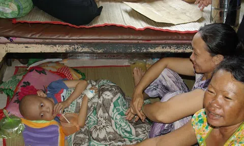 Hãy bình thản trước Quy luật: Sinh, Lão, Bệnh, Tử