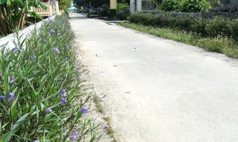 Đi sau về trước xây dựng nông thôn mới nâng cao