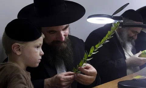 Những câu nói hay của người Do Thái