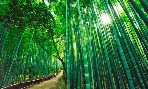 Làm người khó hay khó làm người?