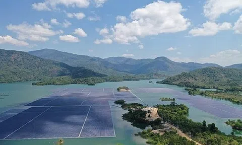 Nghệ An: Chấp thuận chủ trương đầu tư 02 dự án điện mặt trời 7.800 tỷ đồng