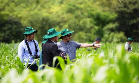 Kinh tế xanh và thực tiễn tại Việt Nam