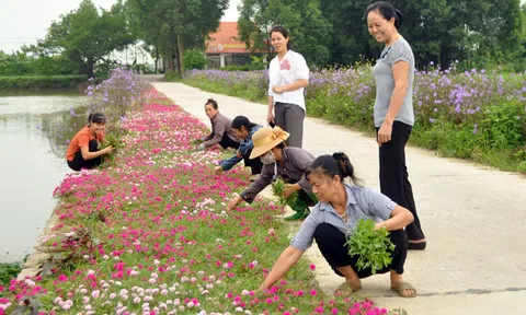 Môi trường - vấn đề sống còn của nhân loại