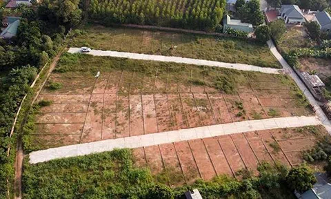 Thận trọng trước điều khoản gài bẫy người mua đất