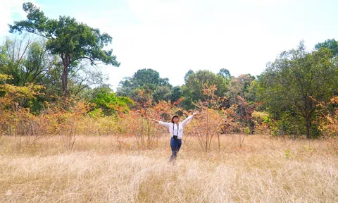 Mối quan hệ giữa tự nhiên và xã hội