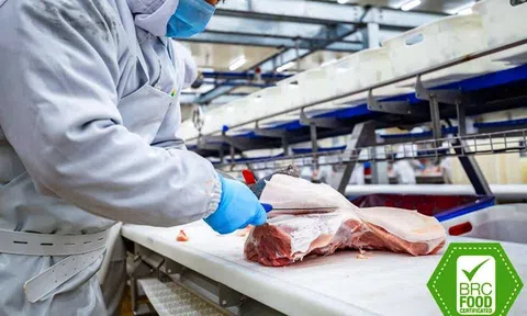 Một số tiêu chuẩn an toàn thực phẩm phổ biến hiện nay