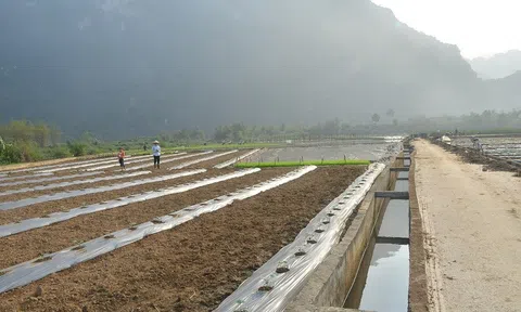 Hòa Bình: Triển khai chiến dịch toàn dân làm thủy lợi đợt I năm 2022