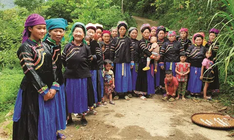 Đại ngàn trên cao nguyên đá