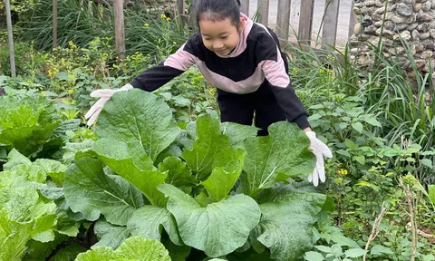 An nhiên giữa lòng thành phố Hà Giang