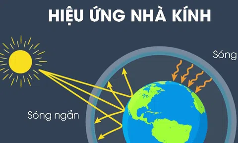 TP Hồ Chí Minh: Chung tay giảm phát thải khí nhà kính CO2