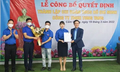 Hải Dương: Thành lập Chi đoàn TNCS Hồ Chí Minh trong doanh nghiệp ngoài nhà nước