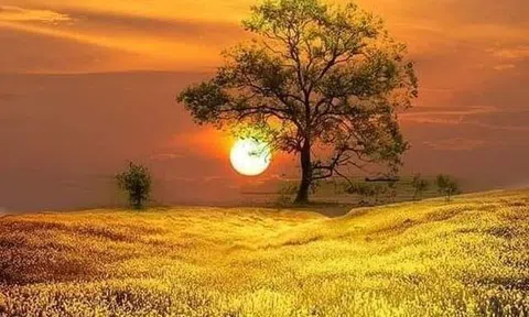 An yên trong cuộc sống là của chính bản thân