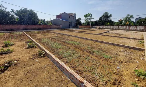 Cẩn thận trước điều khoản bẫy người mua bất động sản