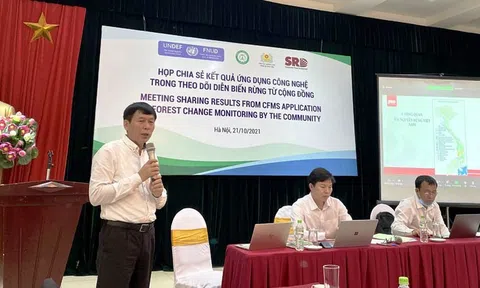 Ứng dụng công nghệ CFMS trong giám sát, bảo vệ rừng tại Việt Nam