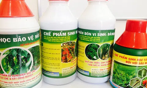 Nông nghiệp hữu cơ, thuốc bảo vệ thực vật thân thiện môi trường, xu thế toàn cầu