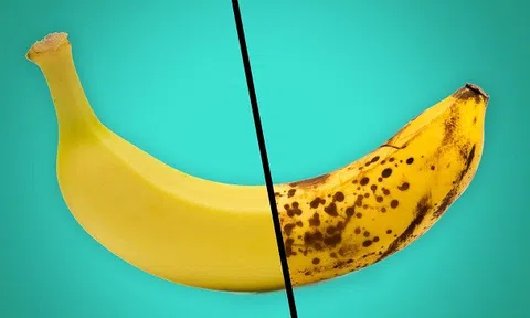 Sự khác nhau giữa nông nghiệp hữu cơ và nông nghiệp thông thường