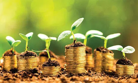 Muốn phát triển bền vững phải chú trọng yếu tố tăng trưởng xanh