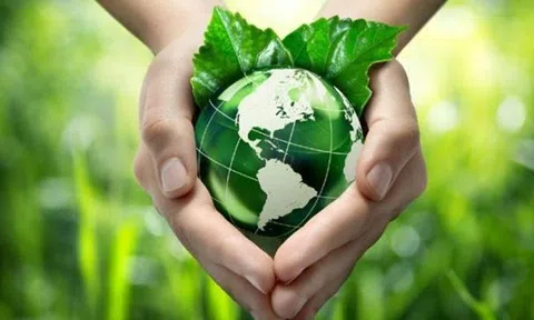 Doanh nghiệp vì môi trường xanh và phát triển bền vững