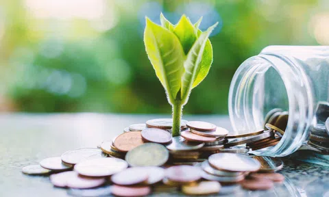 Phát triển bền vững với chính sách tài chính xanh