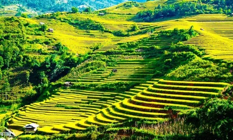 Chưa đến Hà Giang chưa biết Việt Nam!