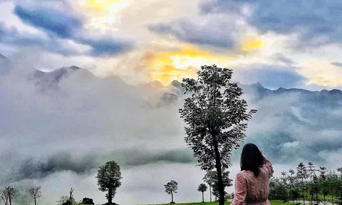 Tất cả chúng ta đều cần những ngày yên tĩnh