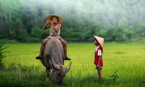 Phải học cả đời những điều mà ai cũng biết