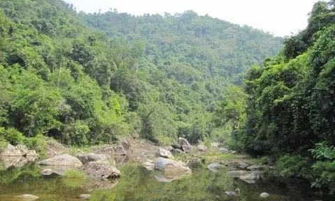 Bắc Giang: Thực hiện phát triển kinh tế số vào du lịch