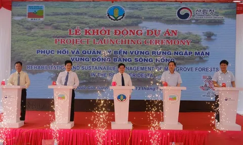 Chính thức khởi động dự án phục hồi rừng ngập mặn do Hàn Quốc tài trợ
