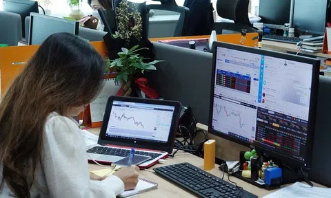 Kinh doanh gì hiệu quả trong điều kiện hiện nay