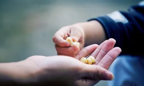 Chẳng may rơi vào cảnh “trắng tay”, ta sẽ thấu hiểu 5 bài học cuộc đời