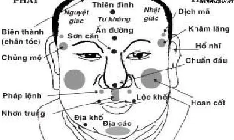 Khuôn mặt nói lên điều gì