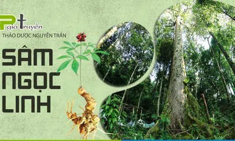 Tạo sản phẩm OCOP với niềm tự hào, hay làm vì yêu cầu thủ tục (Bài 2)
