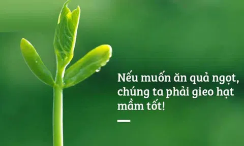 Chuyện về luật Nhân - Quả!