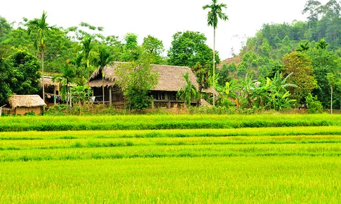 Xã Phương Thiện, TP Hà Giang đánh giá đạt tiêu chí nông thôn mới nâng cao