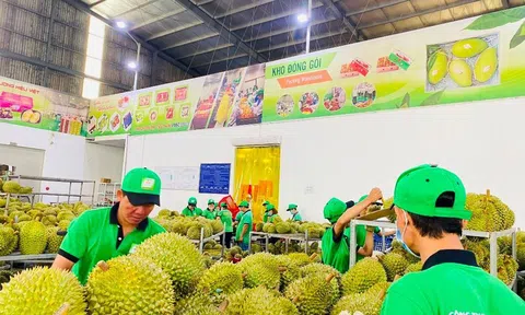 Làm thế nào để chấm dứt nạn “được mùa mất giá”