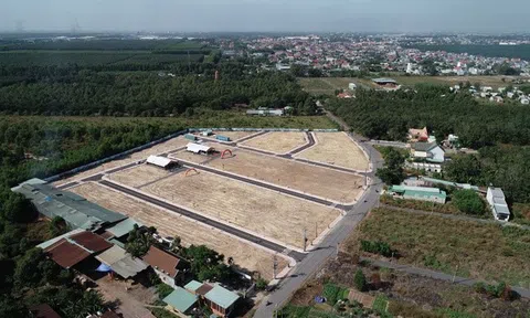 Bẫy hợp đồng đặt cọc công chứng