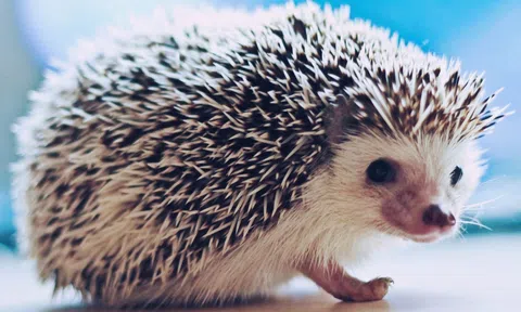 Khoảng cách, khoảng trống để gần nhau hơn