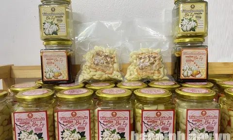 Tỏi An Thịnh bà Lý