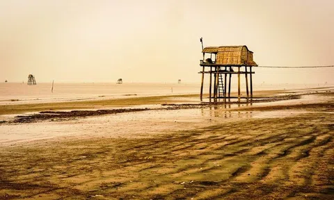 Về lại Văn Lý, Chợ Cồn