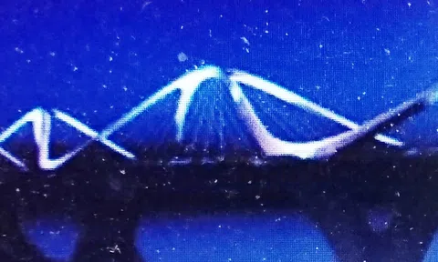 “Lượn sóng ào ạt”- gạo sắp thành cơm