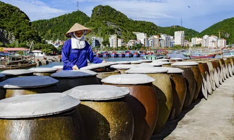 Nước mắm truyền thống Cát Hải, thực phẩm sạch dưới góc nhìn nghệ thuật ẩm thực