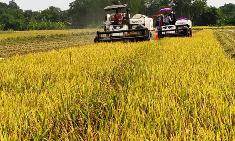 Phát triển nông nghiệp xanh bền vững, hướng đi đúng ở thành phố Cần Thơ