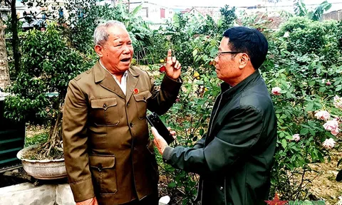 Nếu hồi ấy tôi tỉnh táo hơn