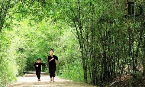 Bài học từ cây Tre