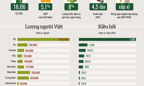 Người Việt ở nước ngoài, nguồn lực quan trọng trong sự nghiệp phát triển đất nước (phần III)