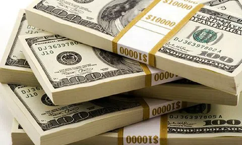 Người Việt ở nước ngoài, nguồn lực quan trọng trong sự nghiệp phát triển đất nước (phần I)