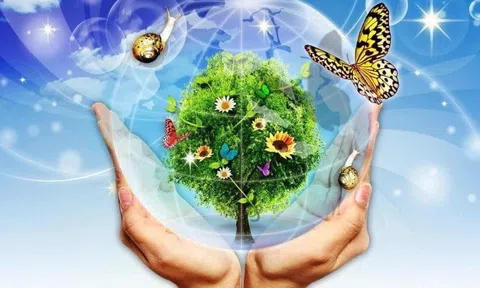 Tại sao phải bảo vệ môi trường sống?