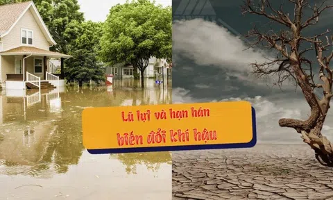 Kinh tế Việt Nam có thể bị đe dọa do ảnh hưởng của môi trường