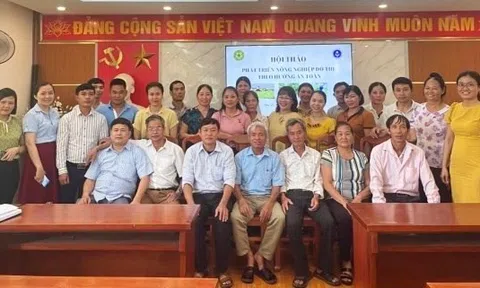 Phát triển nông nghiệp đô thị theo hướng an toàn